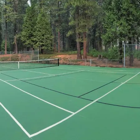 Cedar Oasis - Pet Friendly Cabin W Fireplace, Games And Wifi - 5 Min To Big Trees
